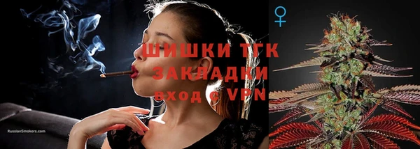 МДМА Бородино