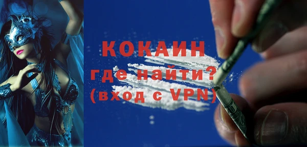 дживик Верхний Тагил
