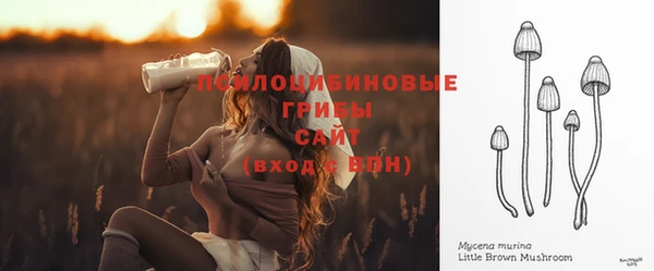 МДМА Бородино