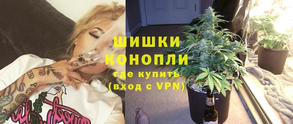 прущий лед Пересвет