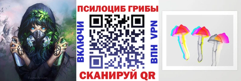 Псилоцибиновые грибы ЛСД  Северо-Курильск 